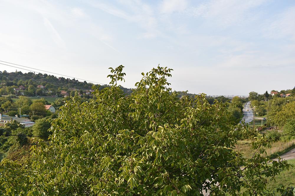 Appartement Fruskogorska Terasa à Novi Sad Extérieur photo